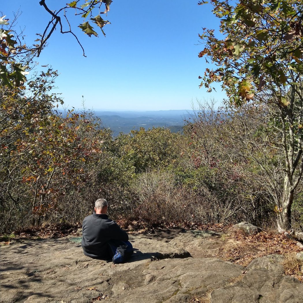 Springer Mountain 1