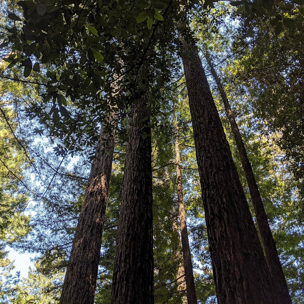 Volunteer Outside with Grassroots Ecology 3