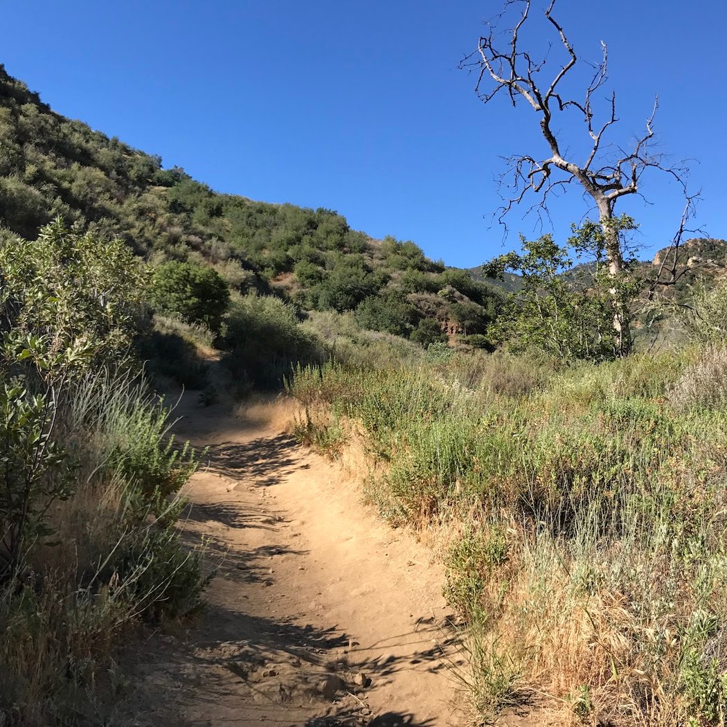 Towsley Canyon Park 2