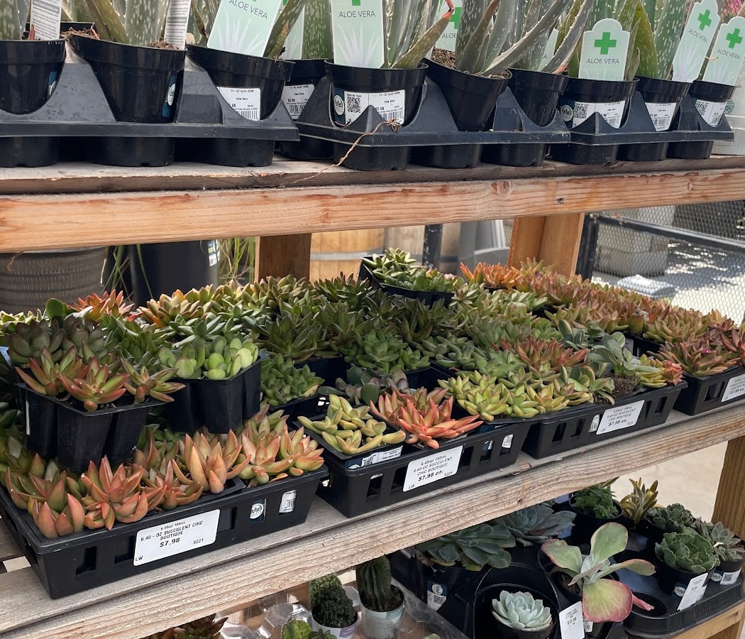 Lowe's Garden Center 3