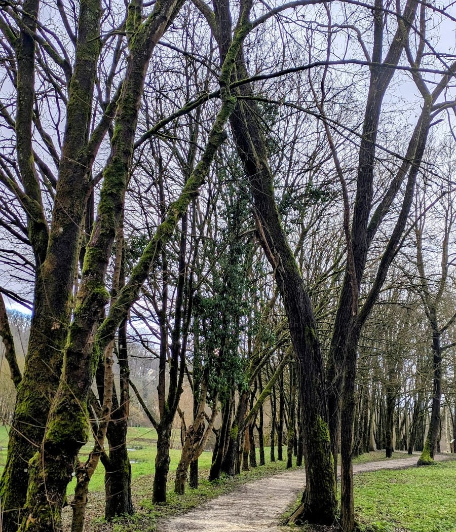 Sentier de la Bièvre 2