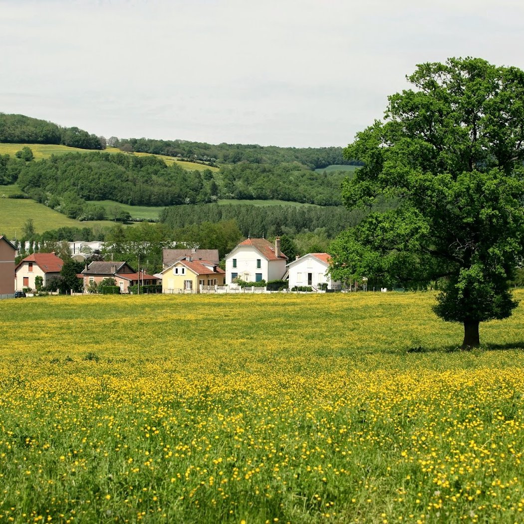 Alise-Sainte-Reine 2