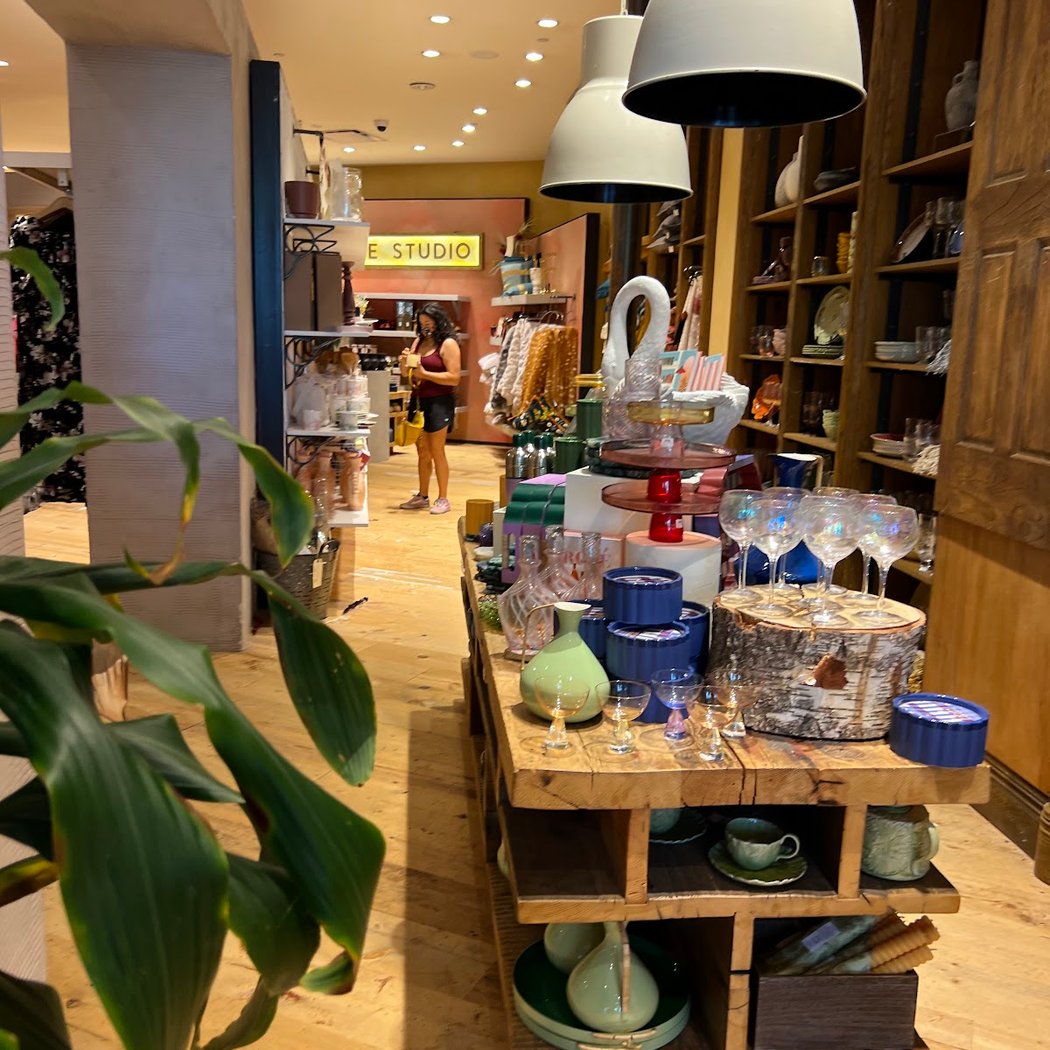 Anthropologie 3