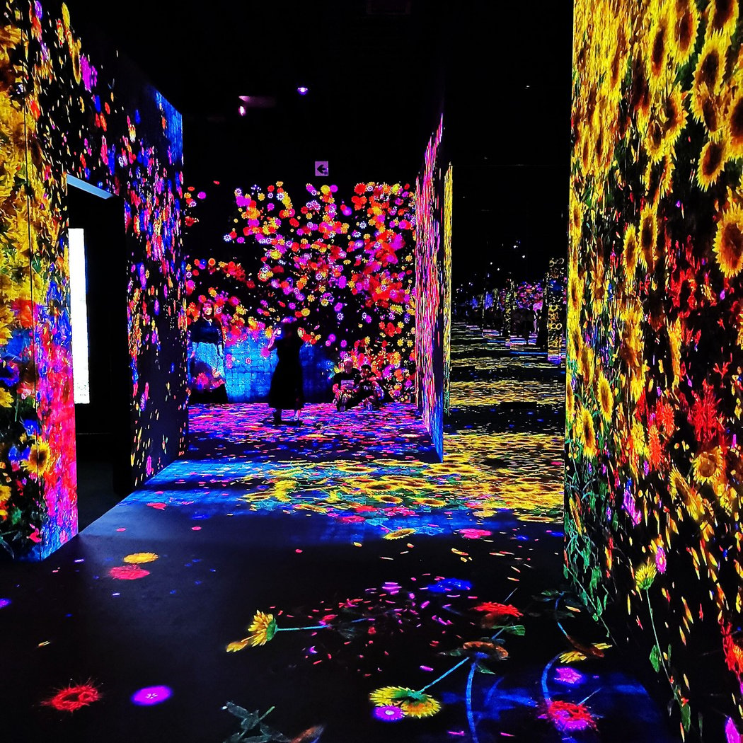 GLOW International Light Exhibition 1