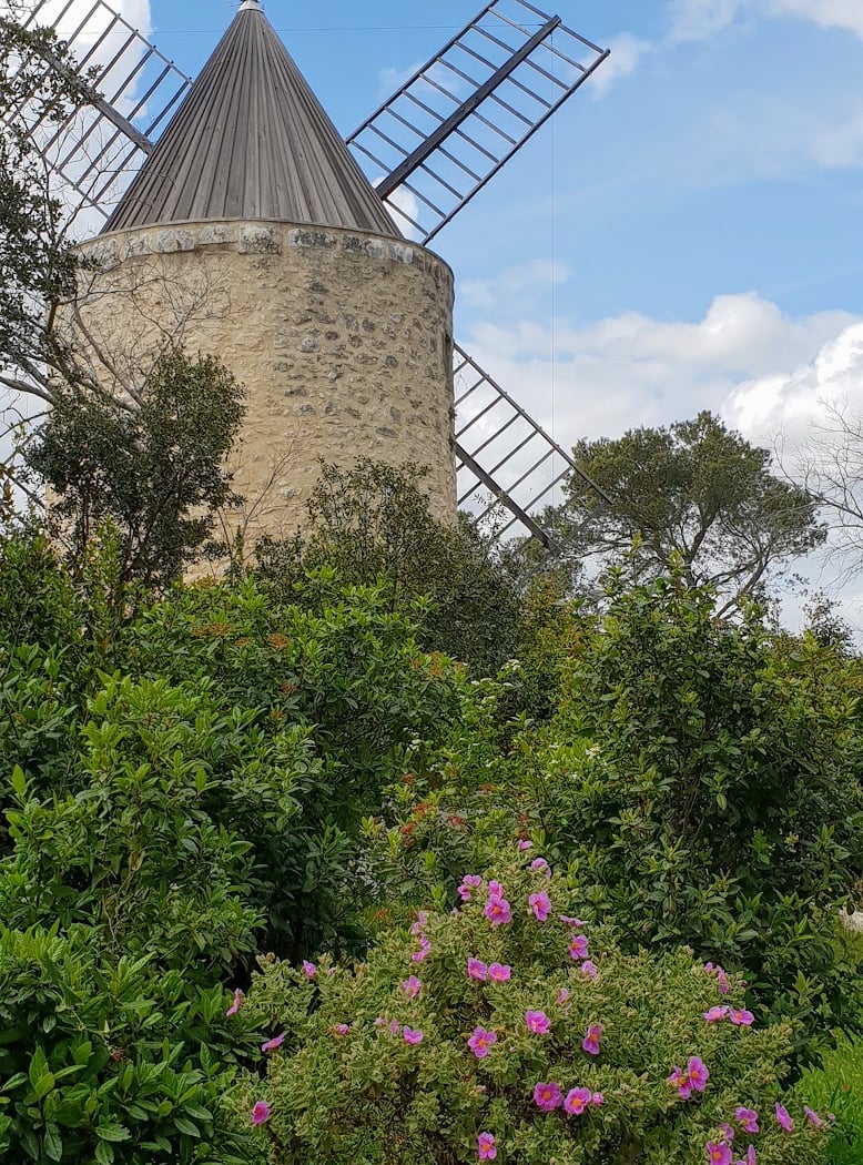 Fontvieille 2