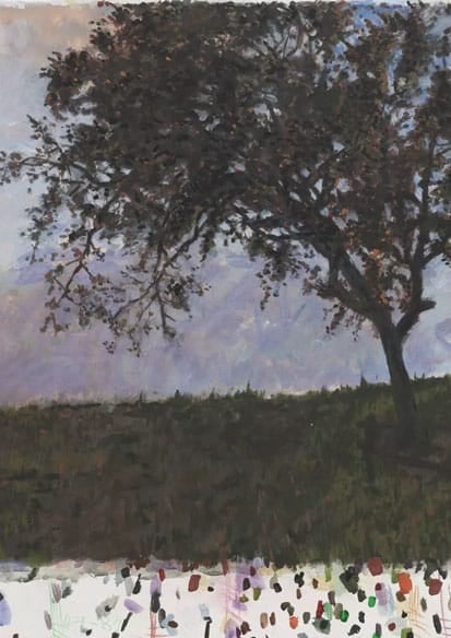 David Claerbout. Le printemps, lentement 2