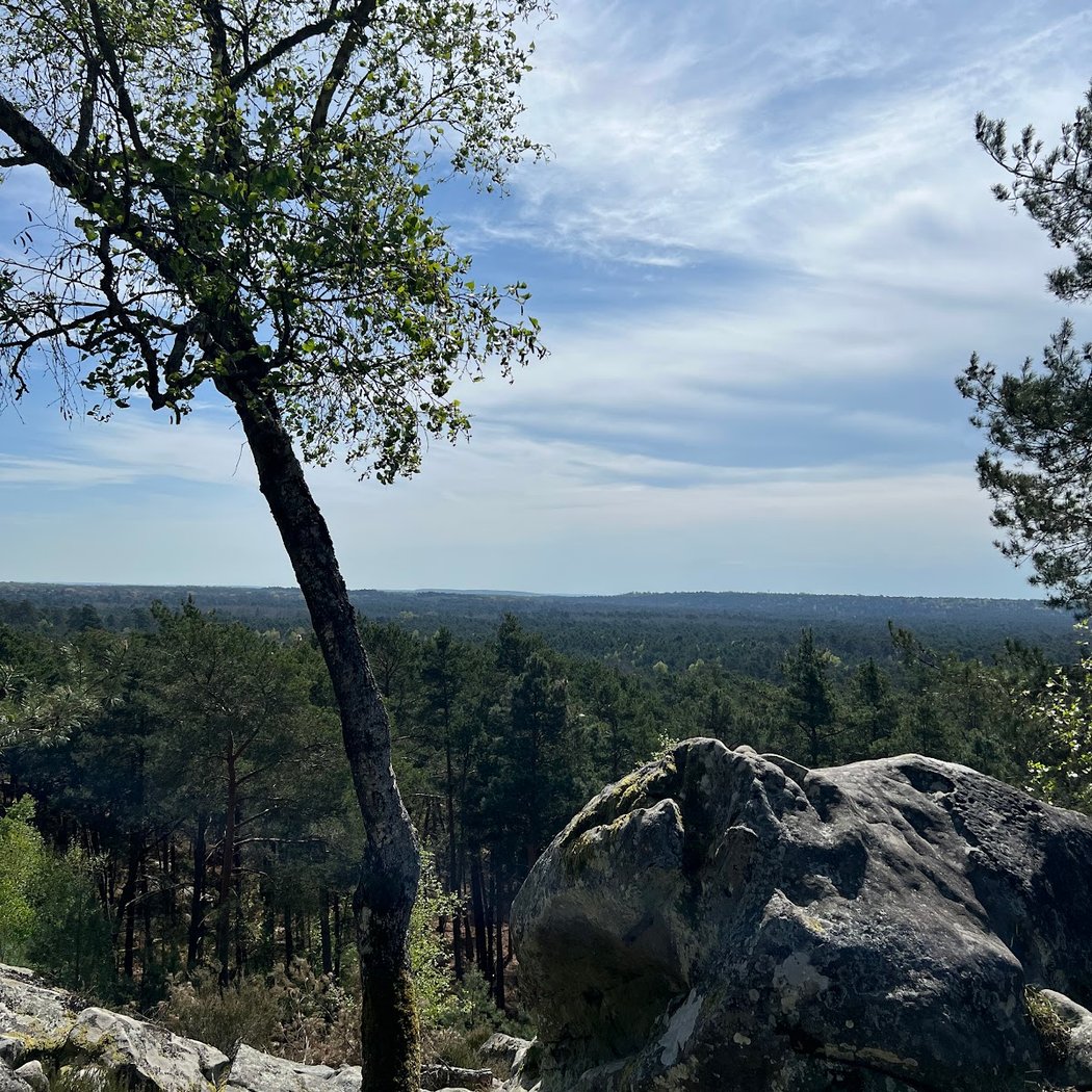 Panorama 3