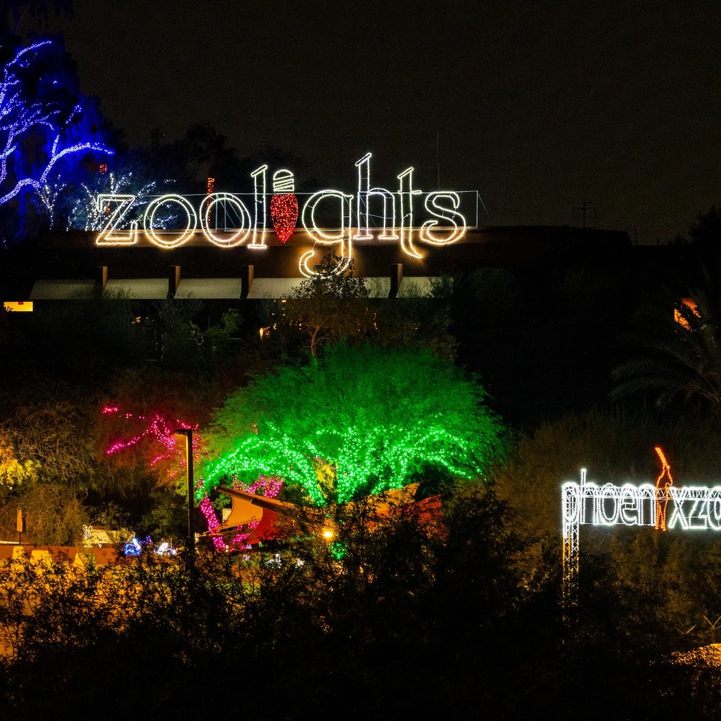Insider Connection - Zoolights 3