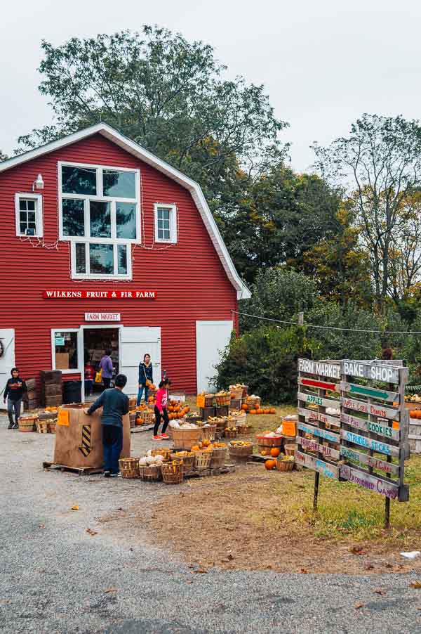 Wilkens Fruit & Fir Farm 2