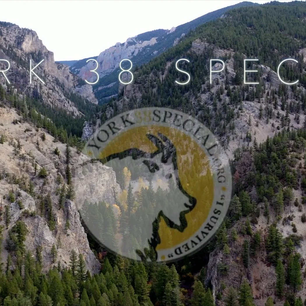 York 38 Special 3