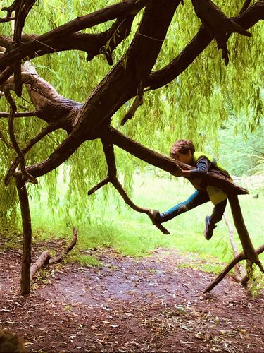 Découverte Nature en famille avec enfants de 2 à 10 ans 1