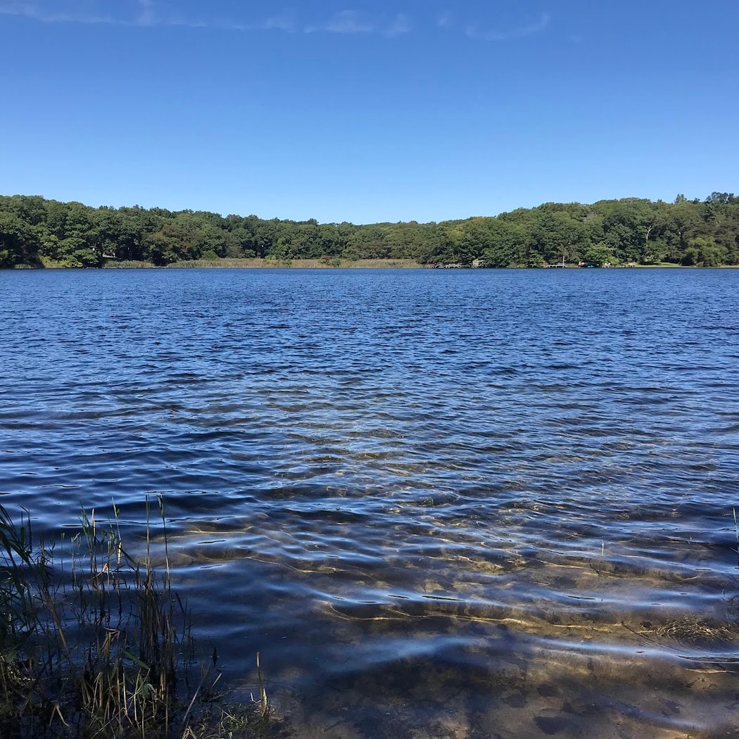 Laurel Lake Preserve 1