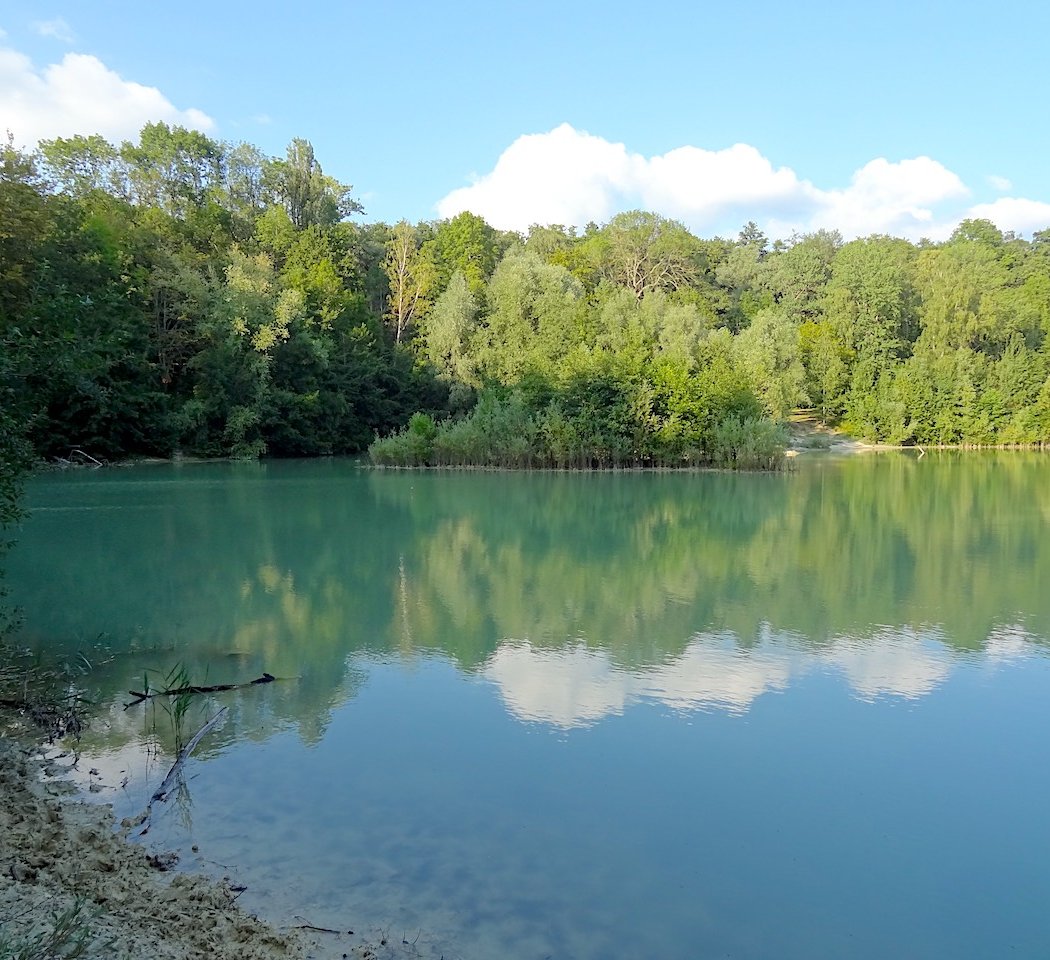 Foret de Carnelle 4