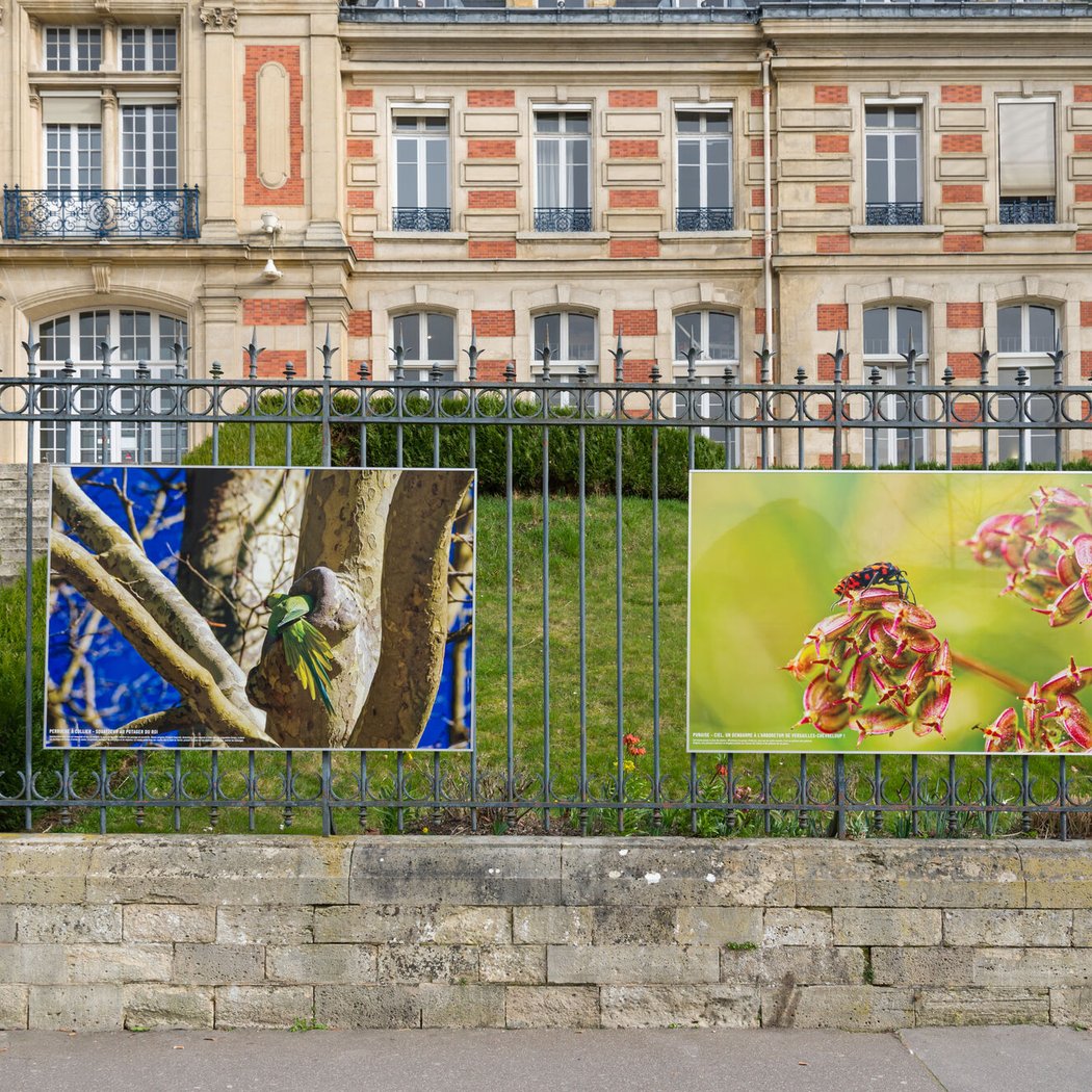Exposition « Petits et grands animaux de Versailles » 1