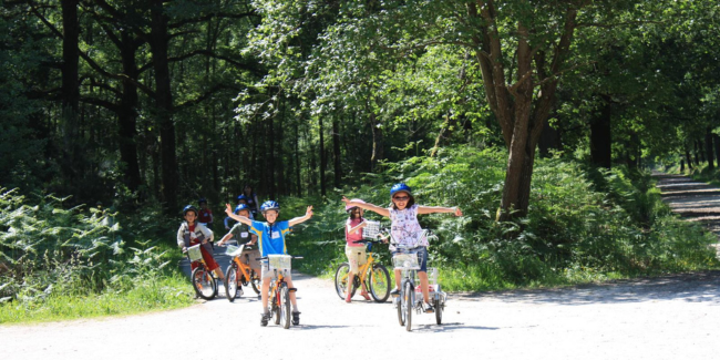 Loca Cycles Rambouillet 1
