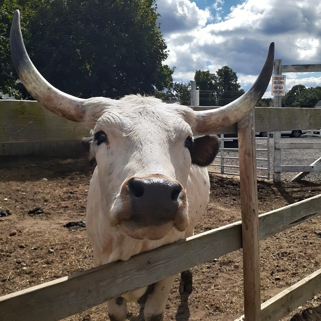 Bakewicz Farms 3