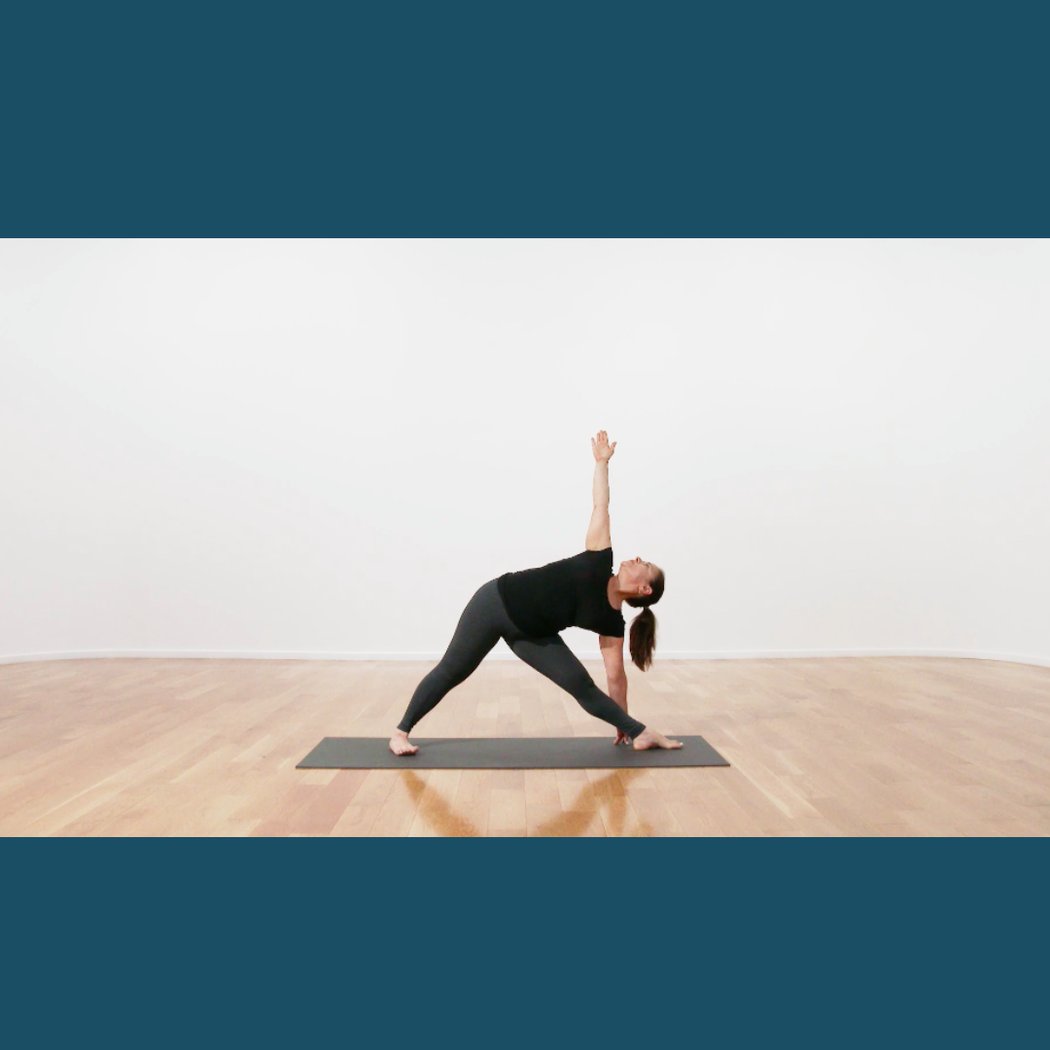 Establishing the Foundation (Level 1) - Progression in Iyengar Yoga 2
