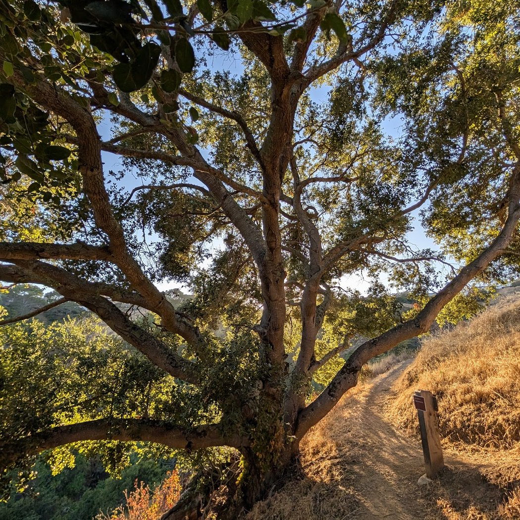 Big Canyon Park 1