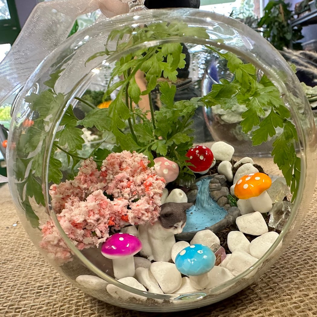 Luludi Living Art Closed Eco-System Terrarium Class 2