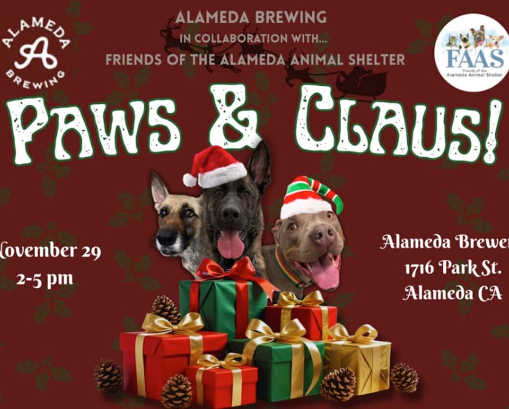 Paws & Claus 1