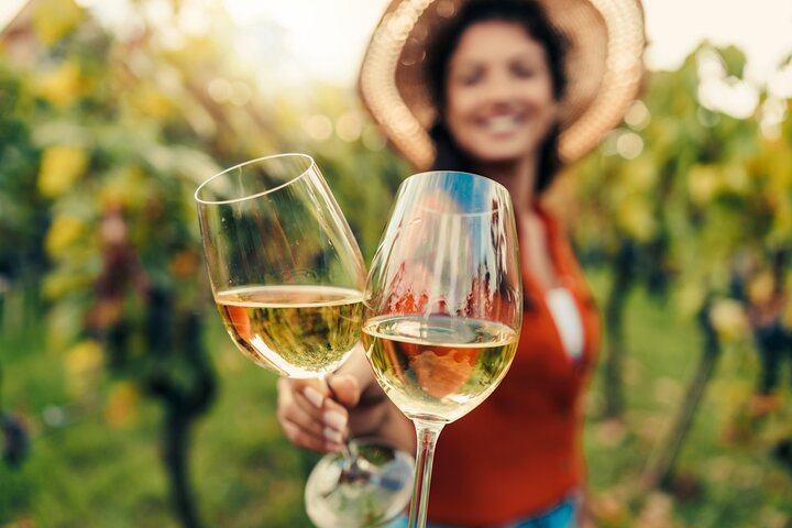 San Francisco: Full Day Coastal Redwoods & Wine Country Tour 1