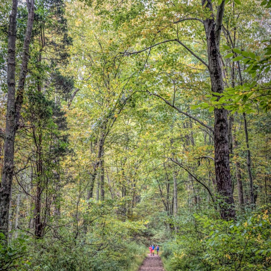 Ward Pound Ridge Reservation 3