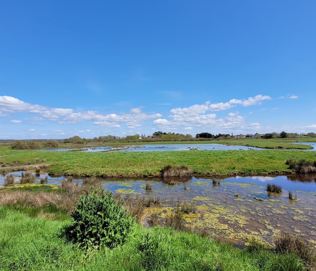 Réserve Naturelle des Marais de Séné 3