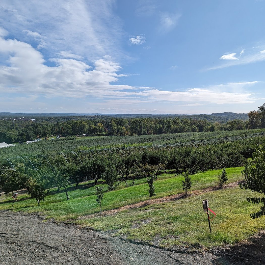 Wightman Farms 3