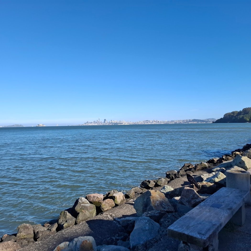 Sausalito Bay Point of View 1