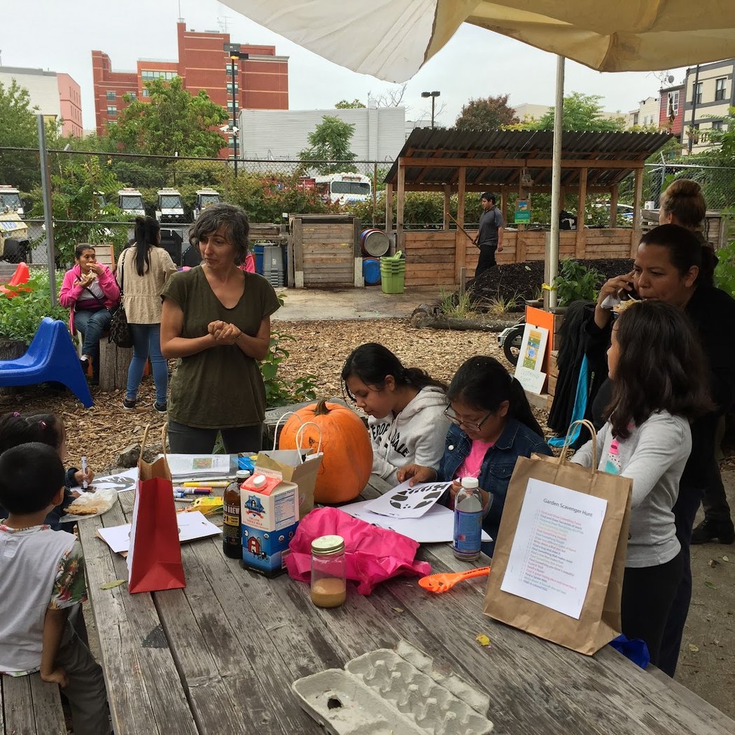 Know Waste Lands Community Garden 2