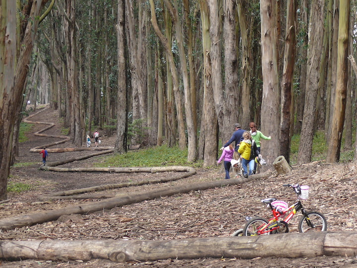 Wood Line 2