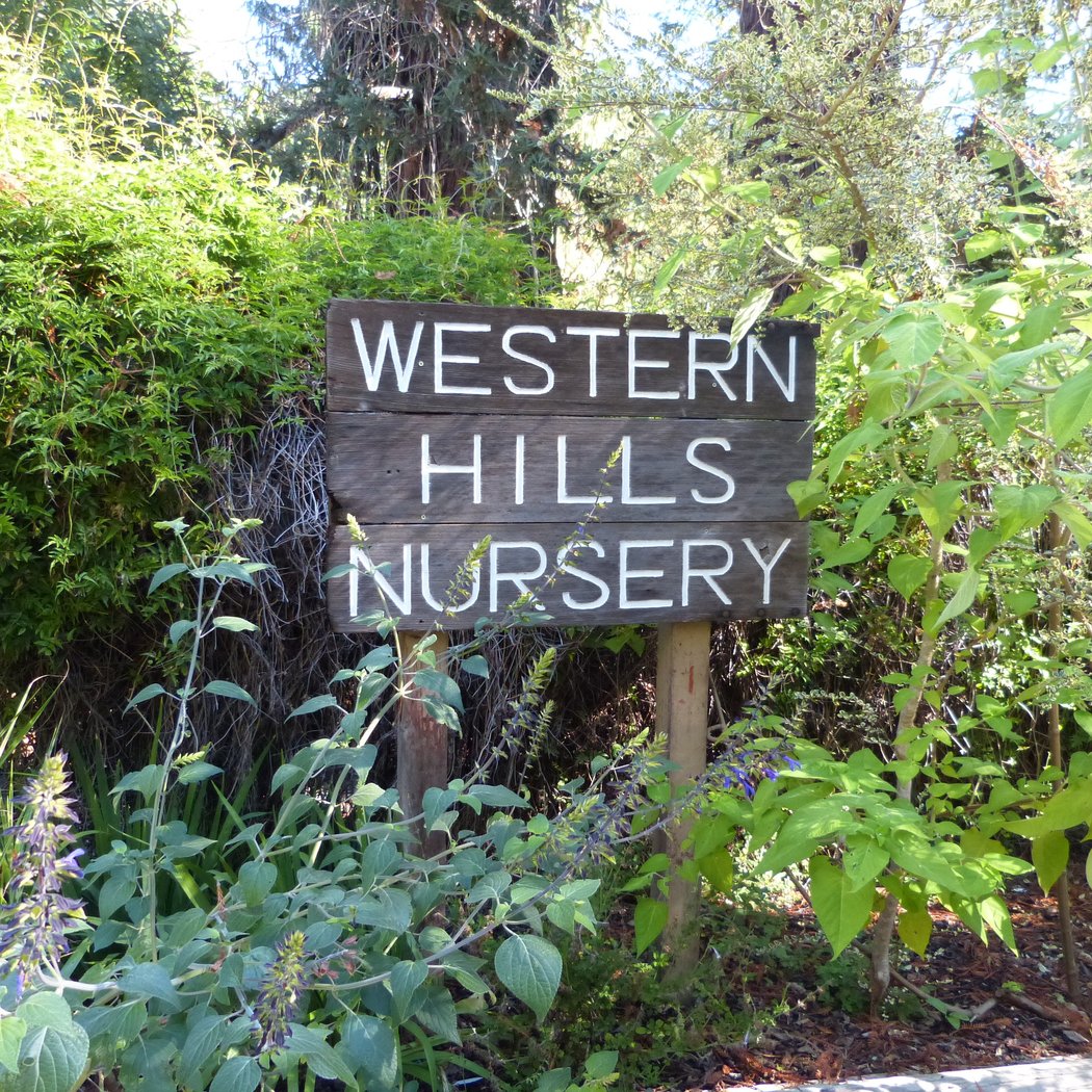 Western Hills Garden 2