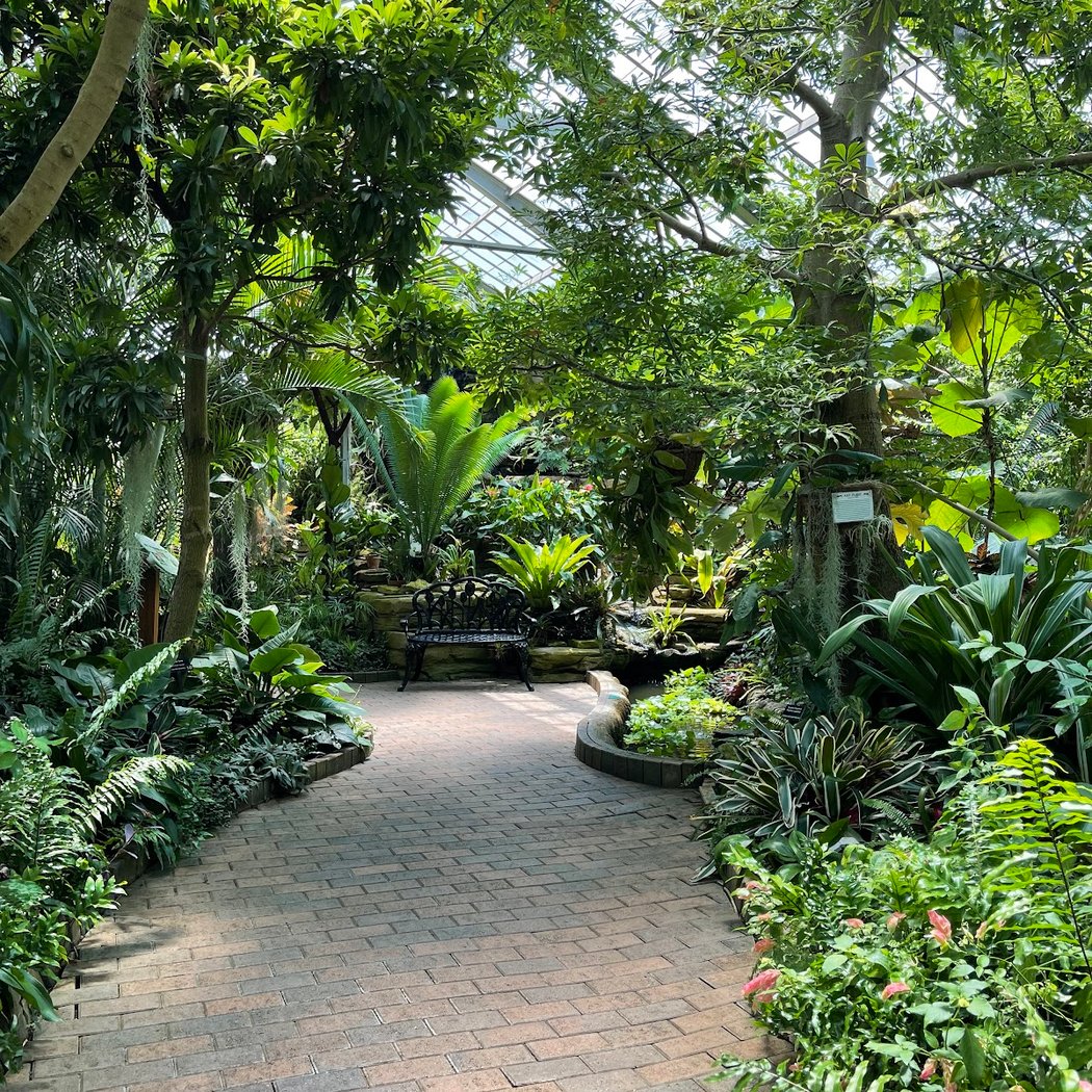 Garfield Park Conservatory & Sunken Garden 3