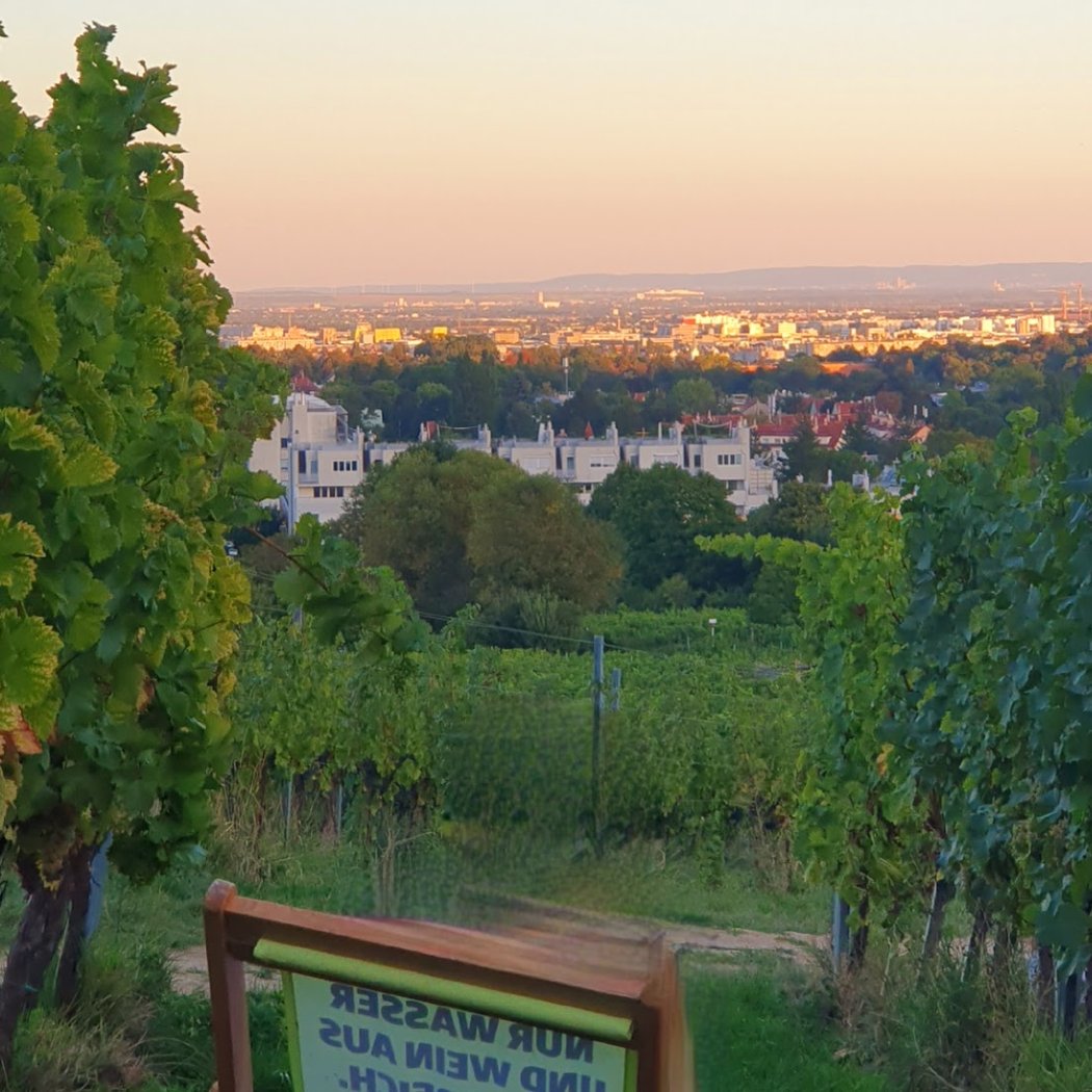 CEVAPI IM WEINGARTEN 2
