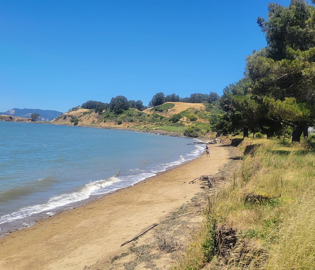 Point Molate Beach Park 2