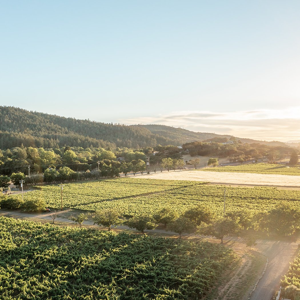 Annadel Estate Winery 2