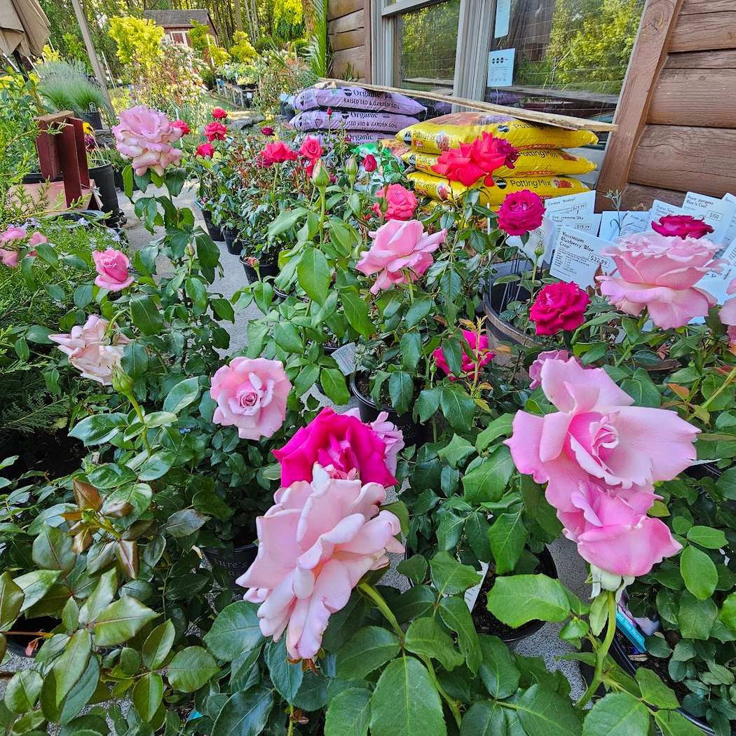 Chavez Garden Center LLC 2