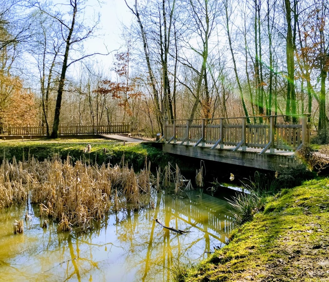 Bois de Verrieres 2