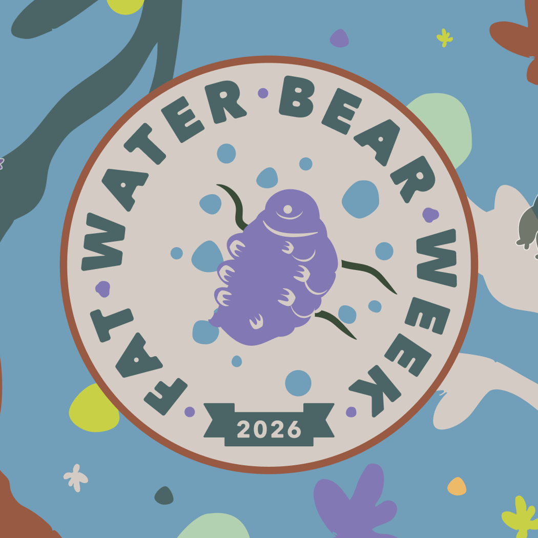 Fat Water Bear Week