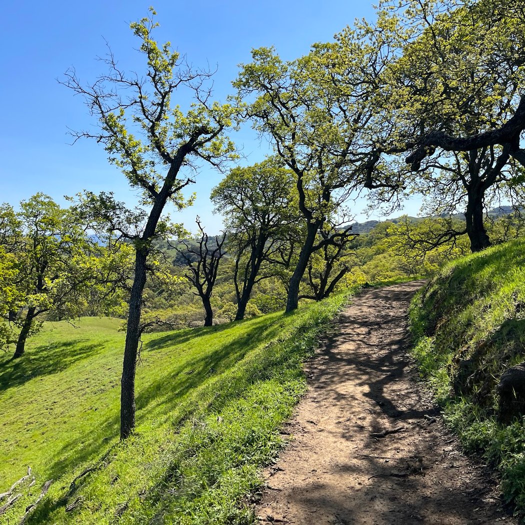 Rancho San Vicente Open Space Preserve 1