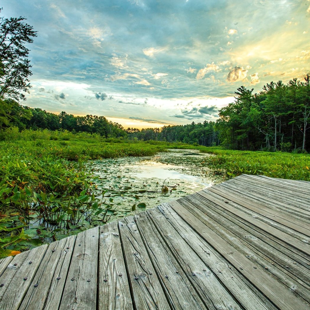 Hike and Brew: Summer at Sunset 3