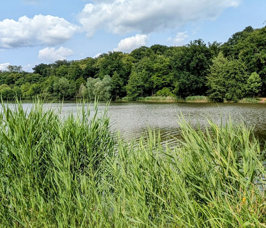 Sentier des Treize Ponts 2