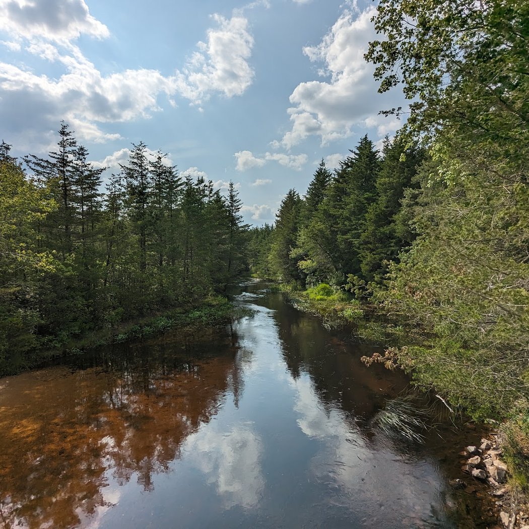 Double Trouble State Park 2
