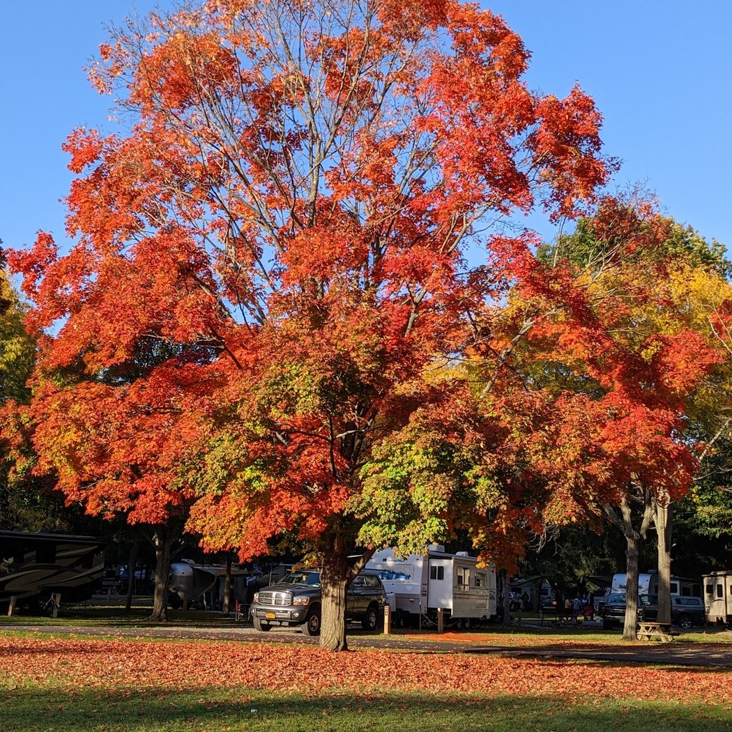 Croton Point Nature Center 1