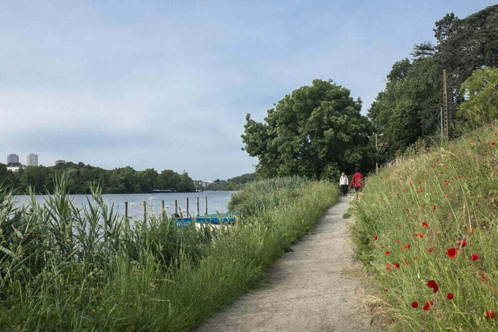 Bords de l'Erdre 1