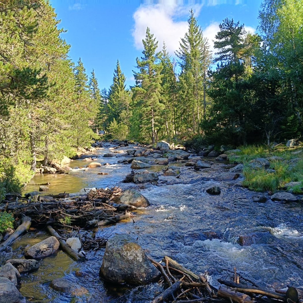 Le Petit Canada 2