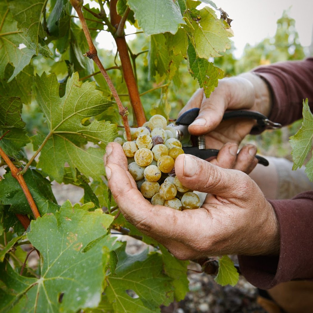 Domaine Hauts-Baigneux 1