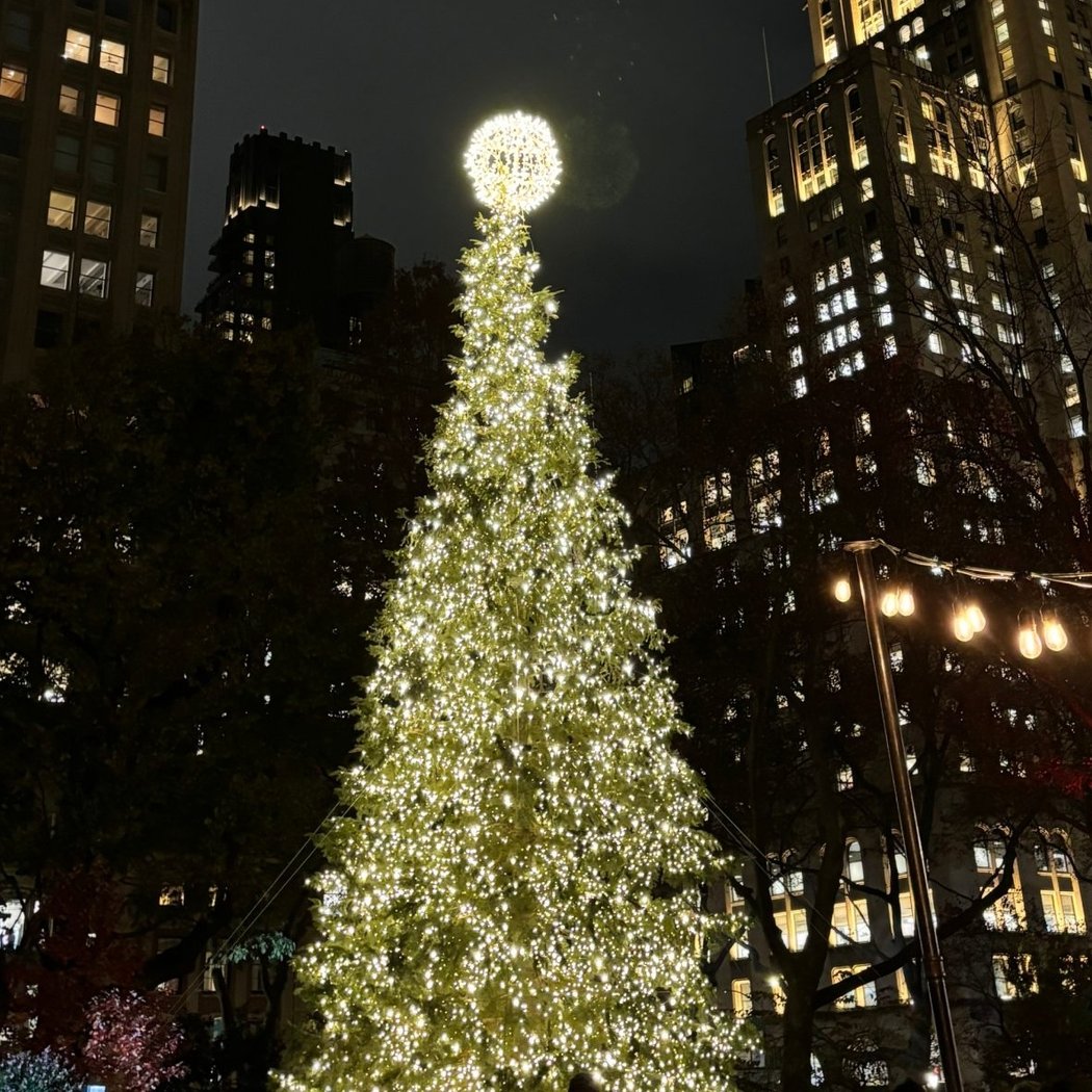113th Annual Holiday Tree Lighting 1