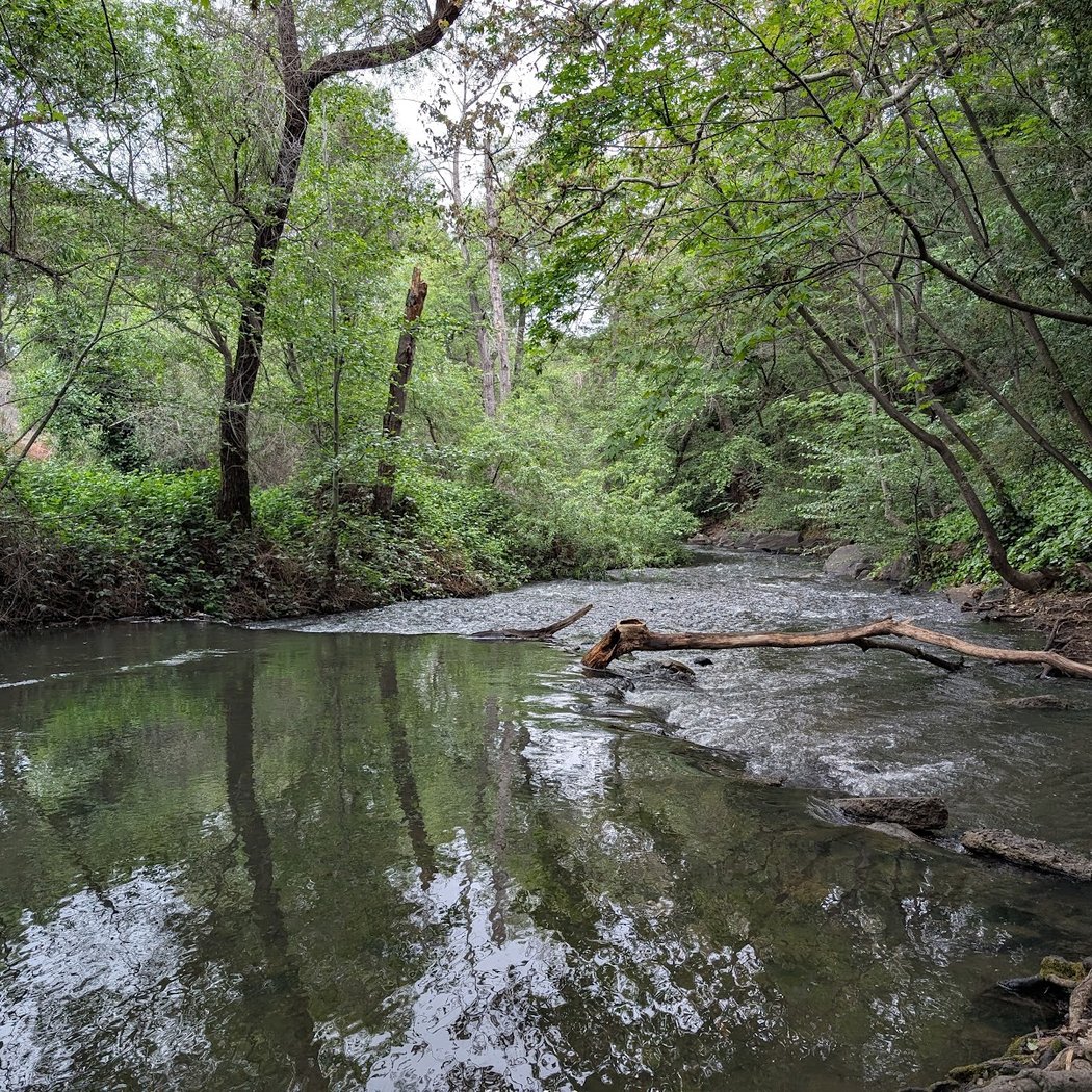 Trailhead, Lexington Dam Loop 2
