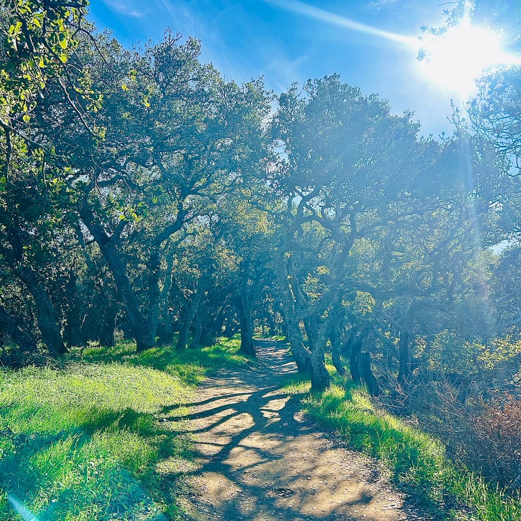 Helen Putnam Regional Park: Windsor Drive Trailhead 1